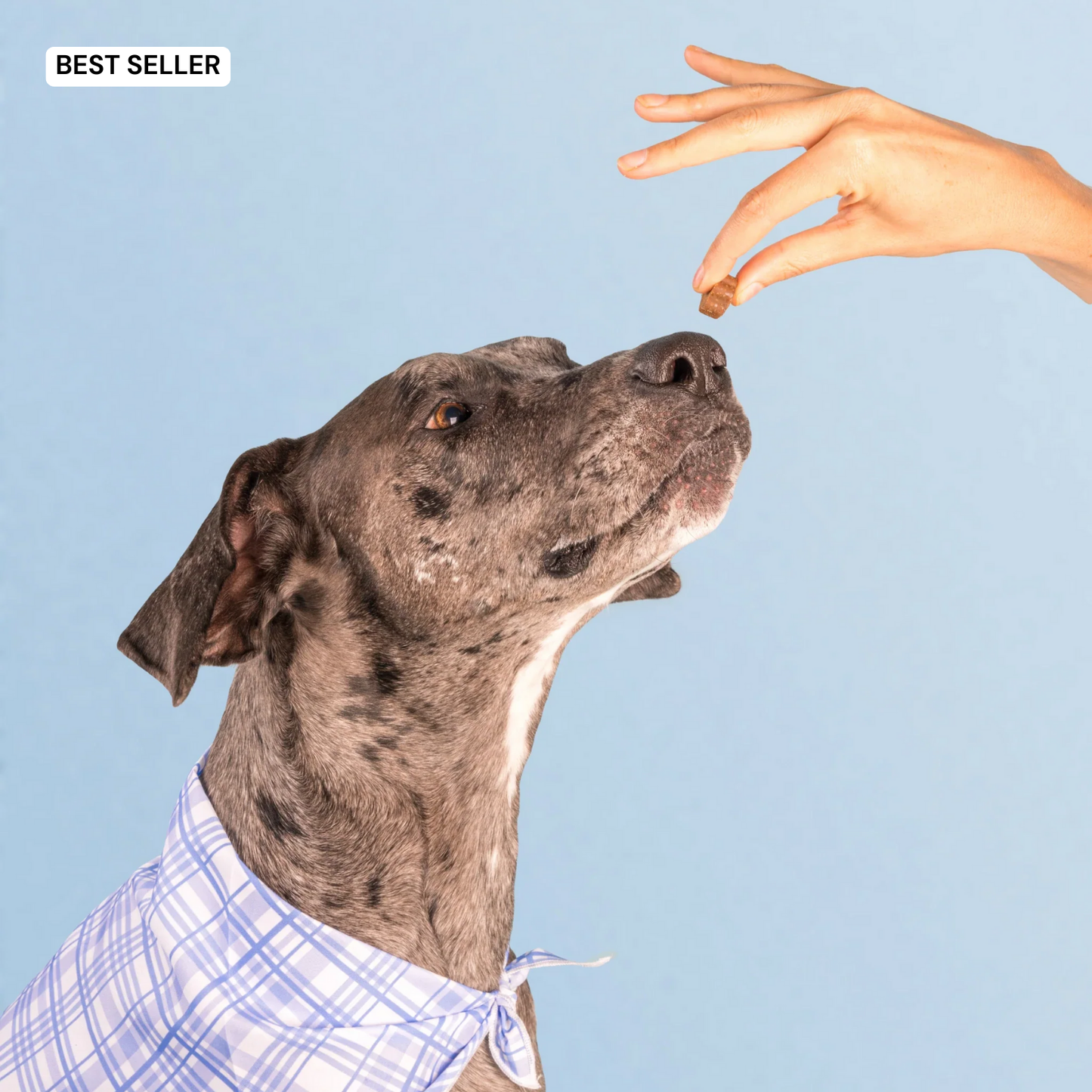 DM-01™ Daily Probiotic