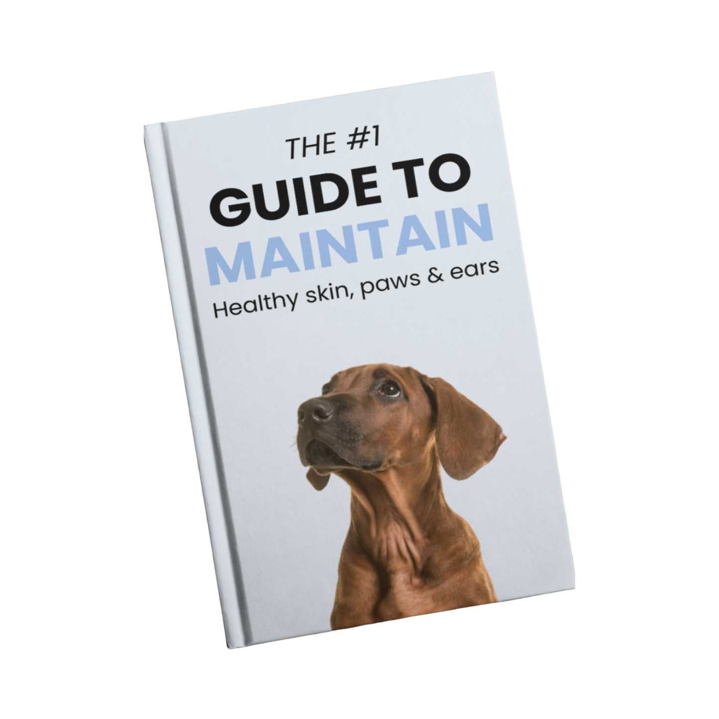 Woofs eBook