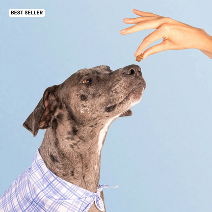 DM-01™ Daily Probiotic