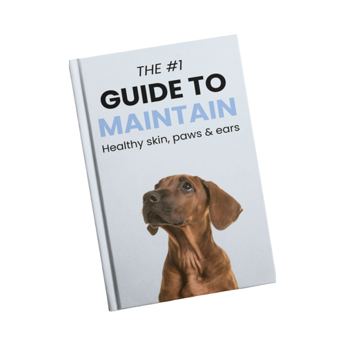 Woofs eBook
